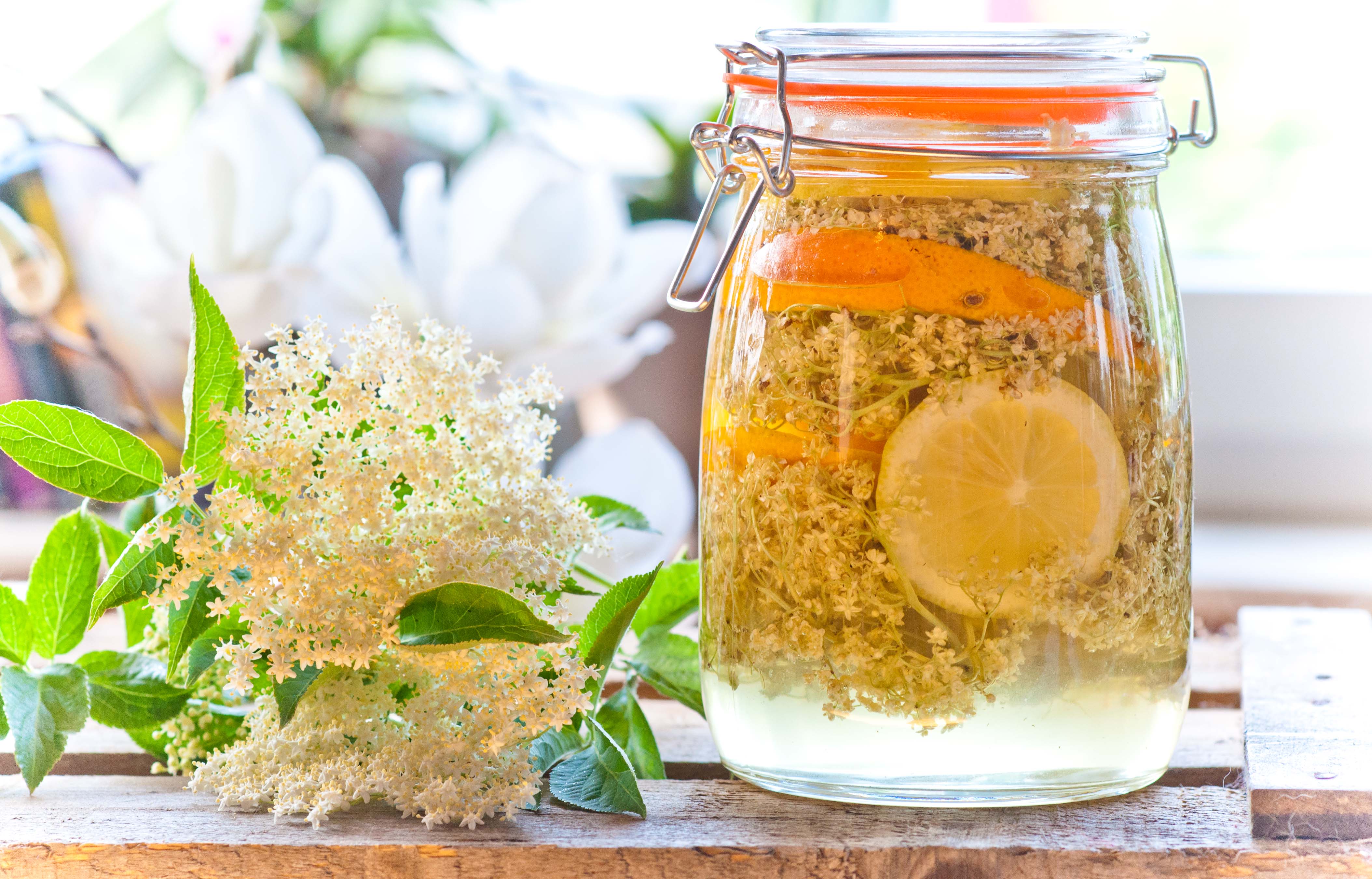 Hausgemachter Holunderblütensirup – Herdblog.de