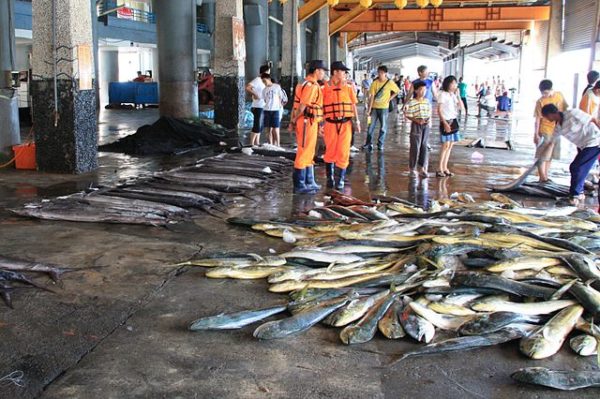 Chenggong Chenggong Fishing Harbor Taiwan - CC BY-SA 3.0 by Lord_Koxinga